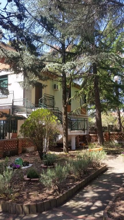 Villa Morgante B&B Pedara Exterior foto